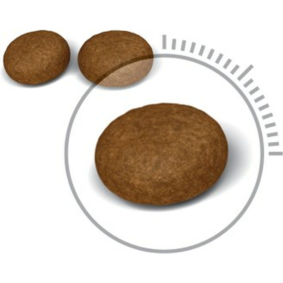 V5HA2F6393D45DDEAF5AEE611124000BD36R4901546P3