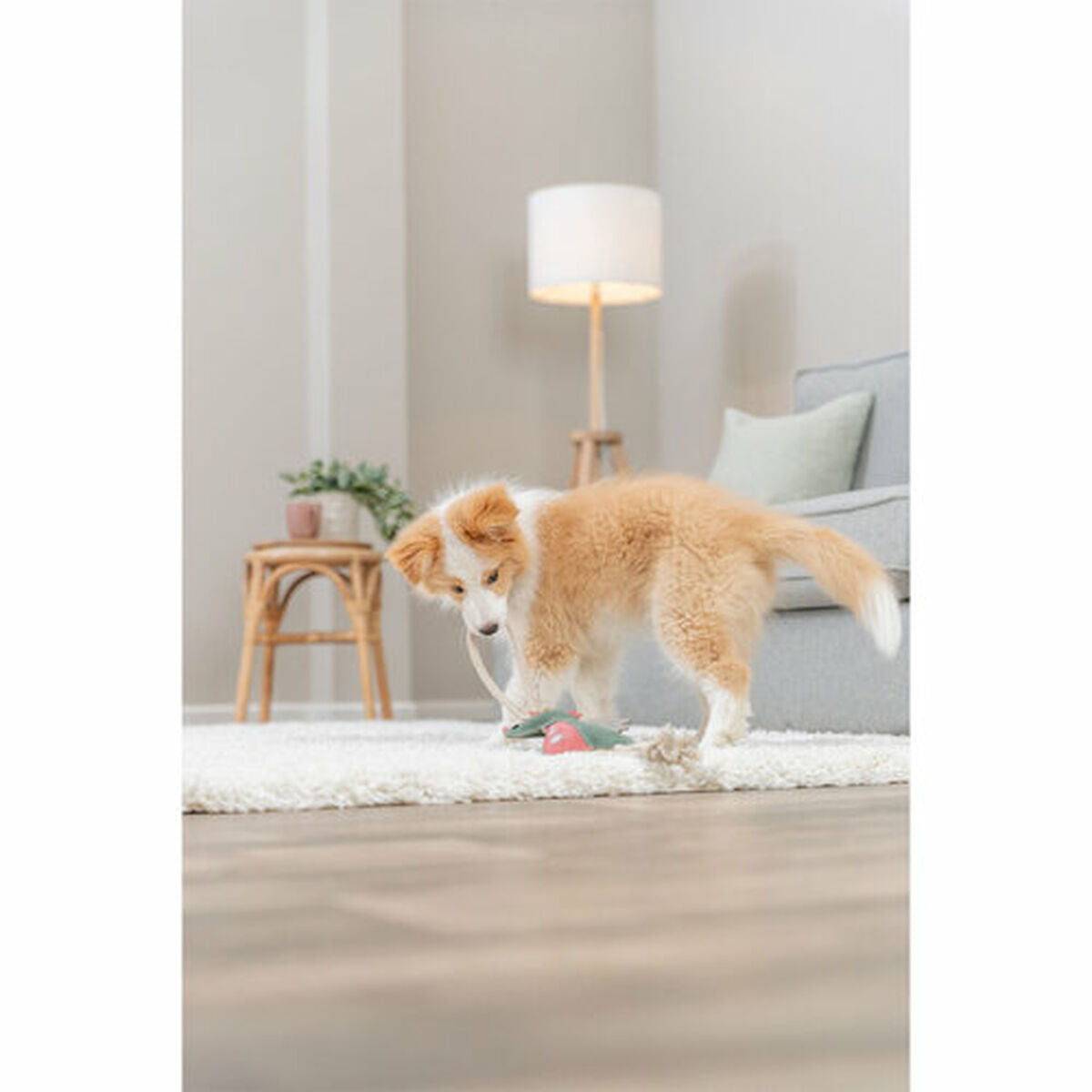 V4HF36C77D88B8747377F6EB84108826D6AR7463048P8