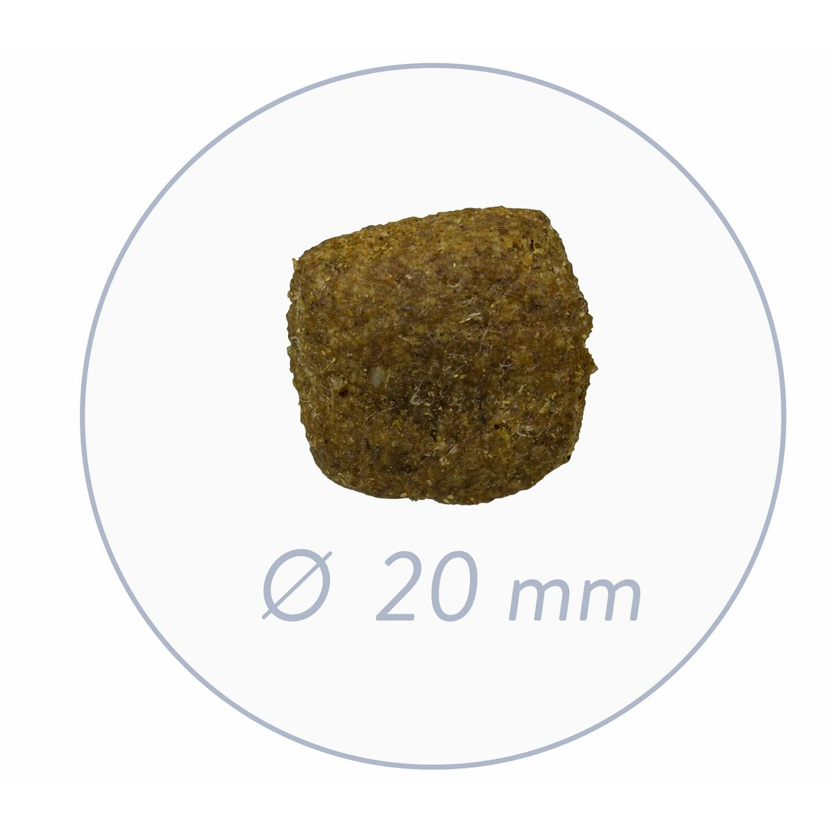 V7HCE5FBC8D5562E49C34F7BE24D51C6E0DR4077794P3