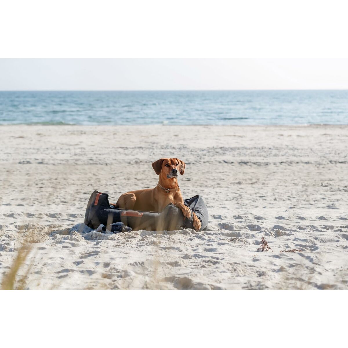 V7H9414349D993D8D3716E89613041062BAR5329602P4