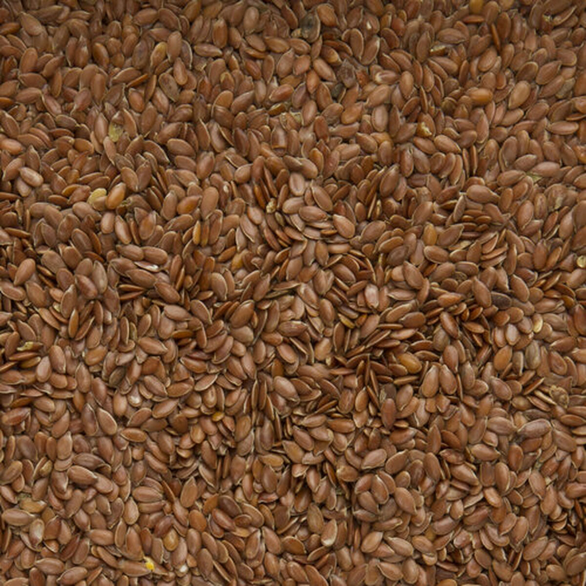 V6H2A83B50CFCD1F60DBD8734FEEB59B28CR7450017P4