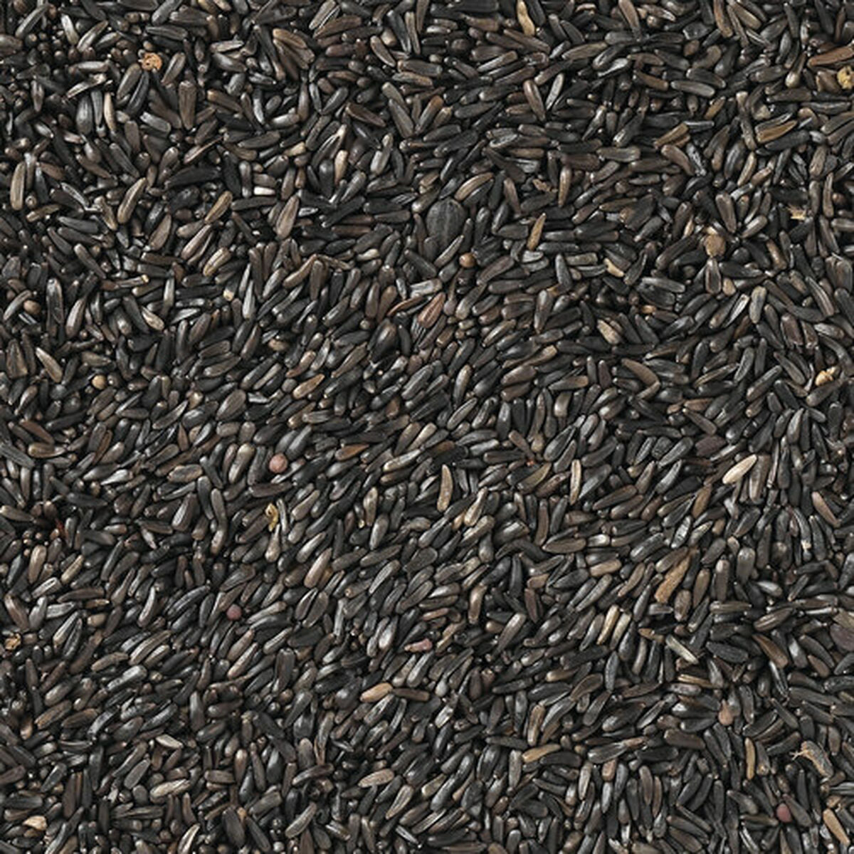 V8HCB44A142596BEE22F875BA0F07F4B44AR7450033P4