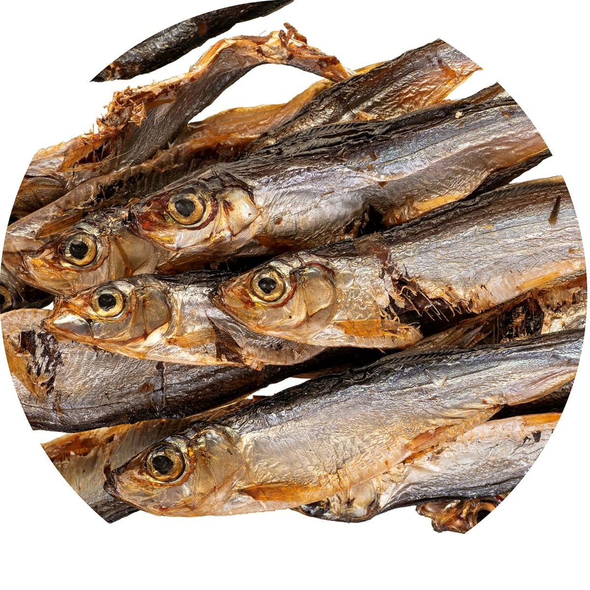 V5HDA50E17FCAF610D1F7E59B79807A2115R6201090P5