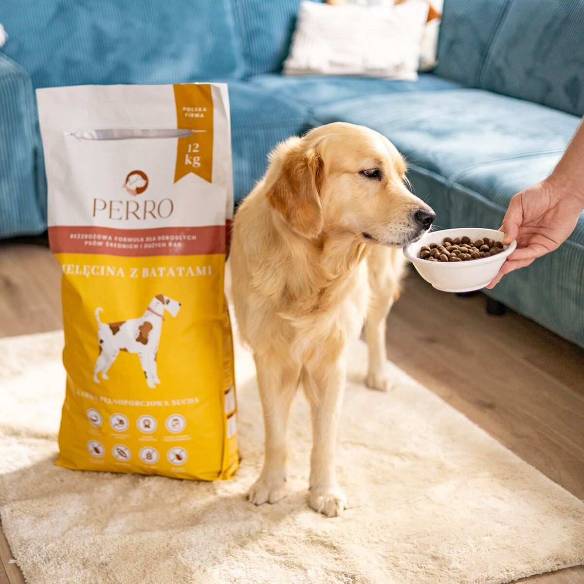 V2H24584463F2B52BB0CEBB4F279E8301B4R5867443P3