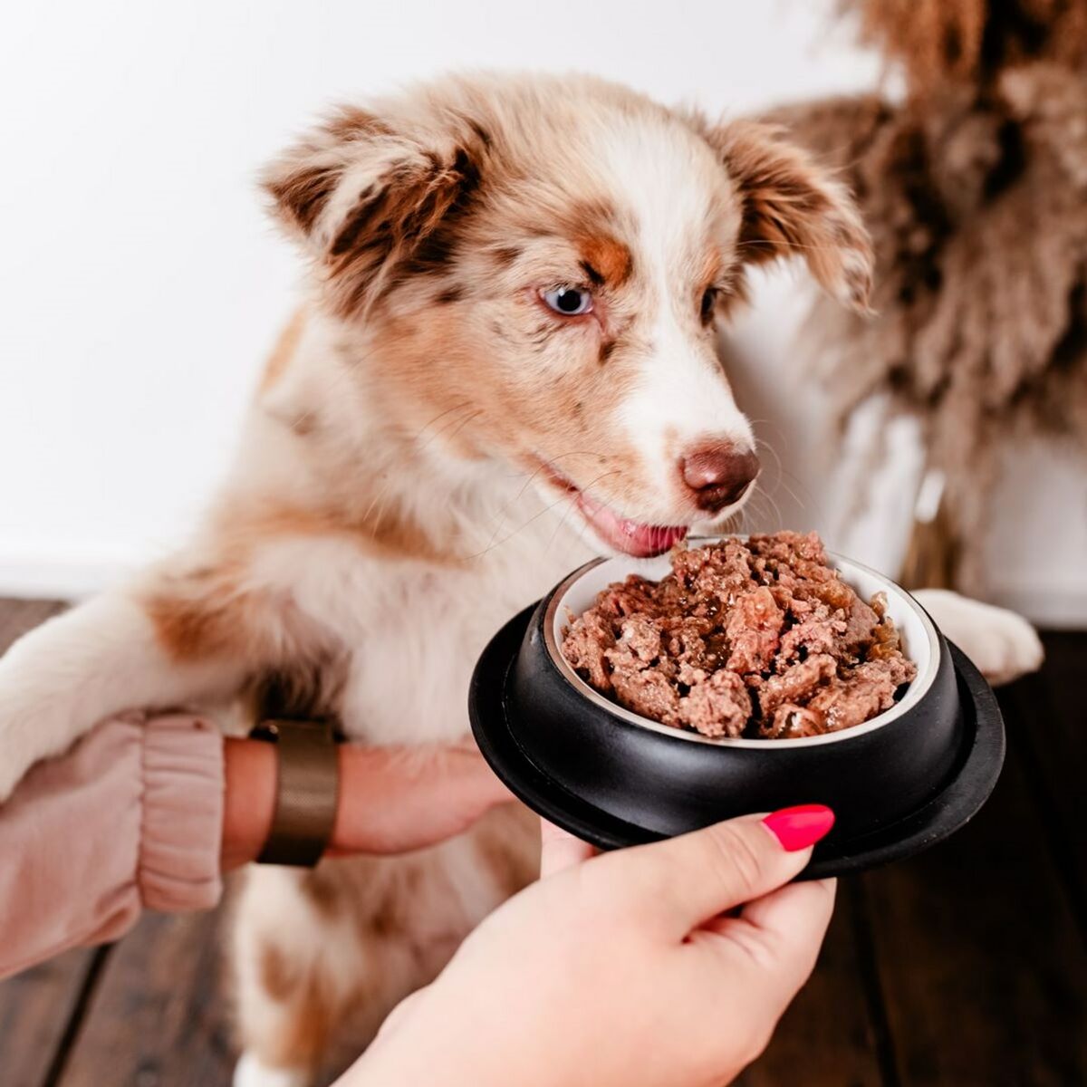 V2H71A46EDE9772A3F3042F27740EDF8C87R5867432P3