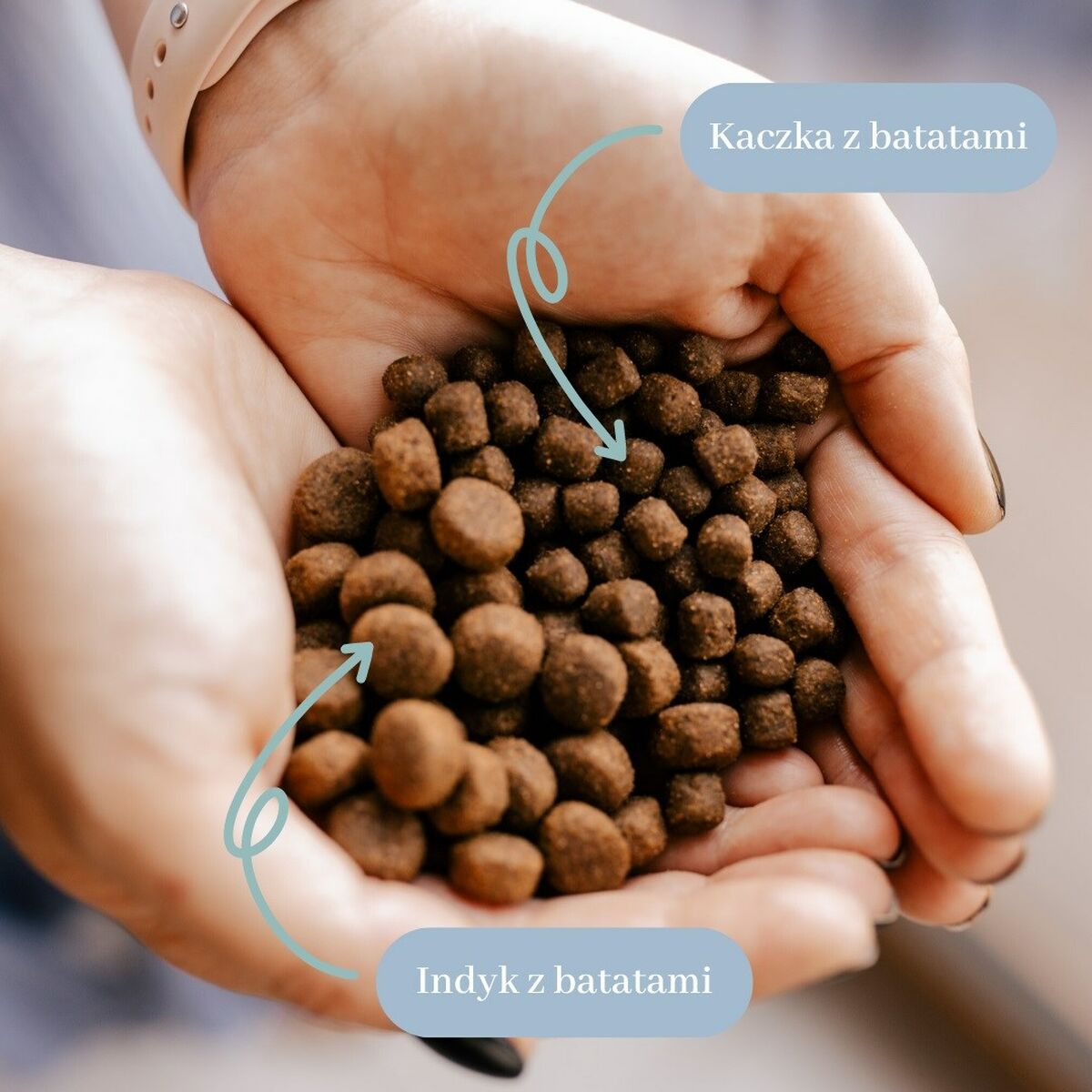 V2HC42700A5407460CB36DD7053949A00CFR5867396P2