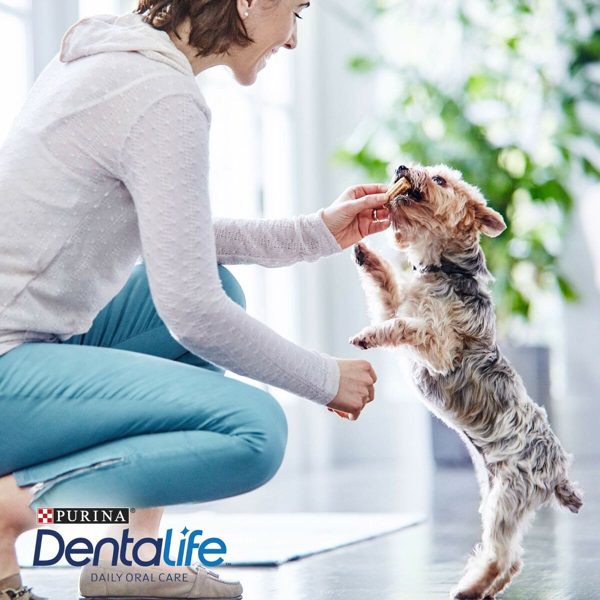 V5H36329815CE1DDB19D3B689CDA91ACC00R3548111P2