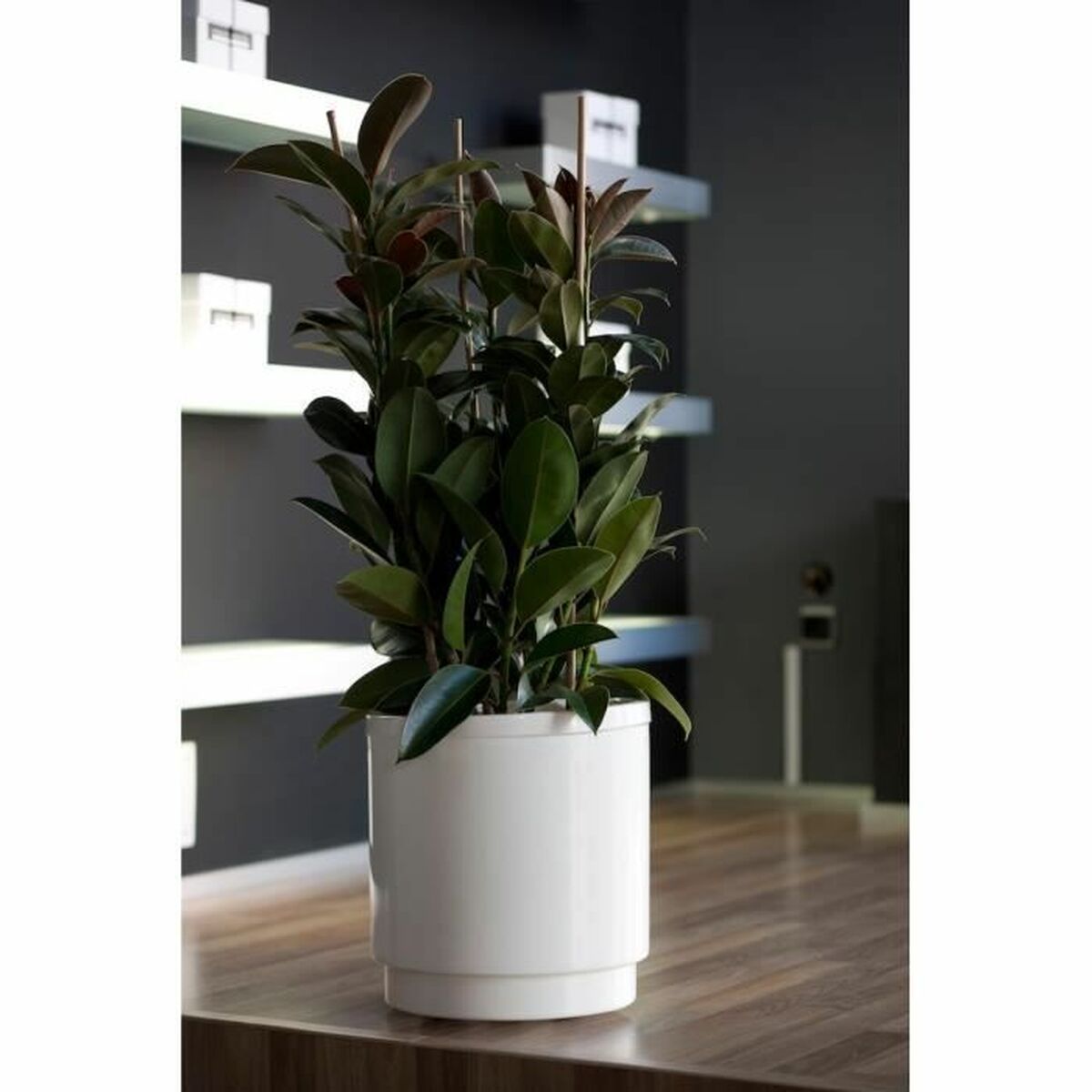 Vaso Autoirrigante Plastiken Bianco Ø 48 cm