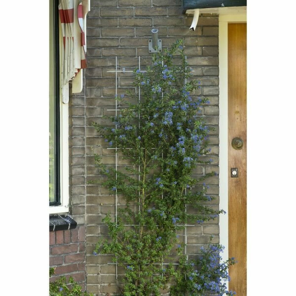 Recinzione da Giardino Nature