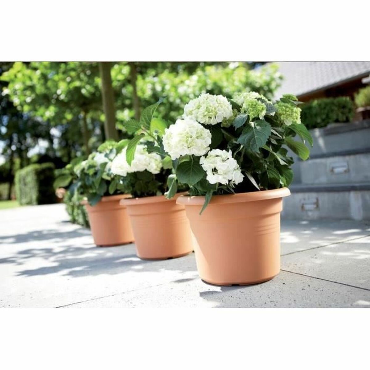 Vaso Elho Rotonda Rosa Plastica Ø 30 cm