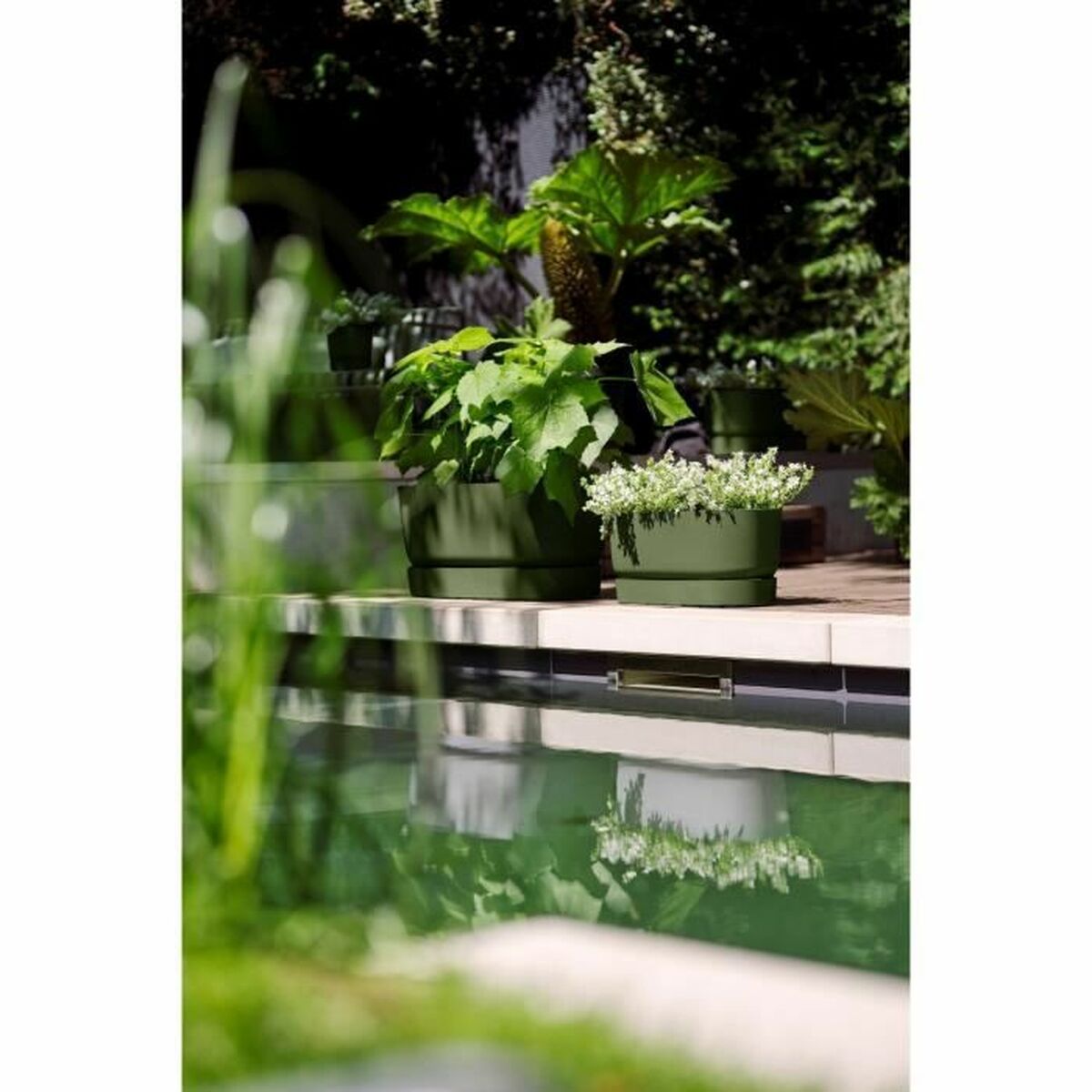 Vaso rettangolare da Balcone Elho 60 cm Verde Plastica