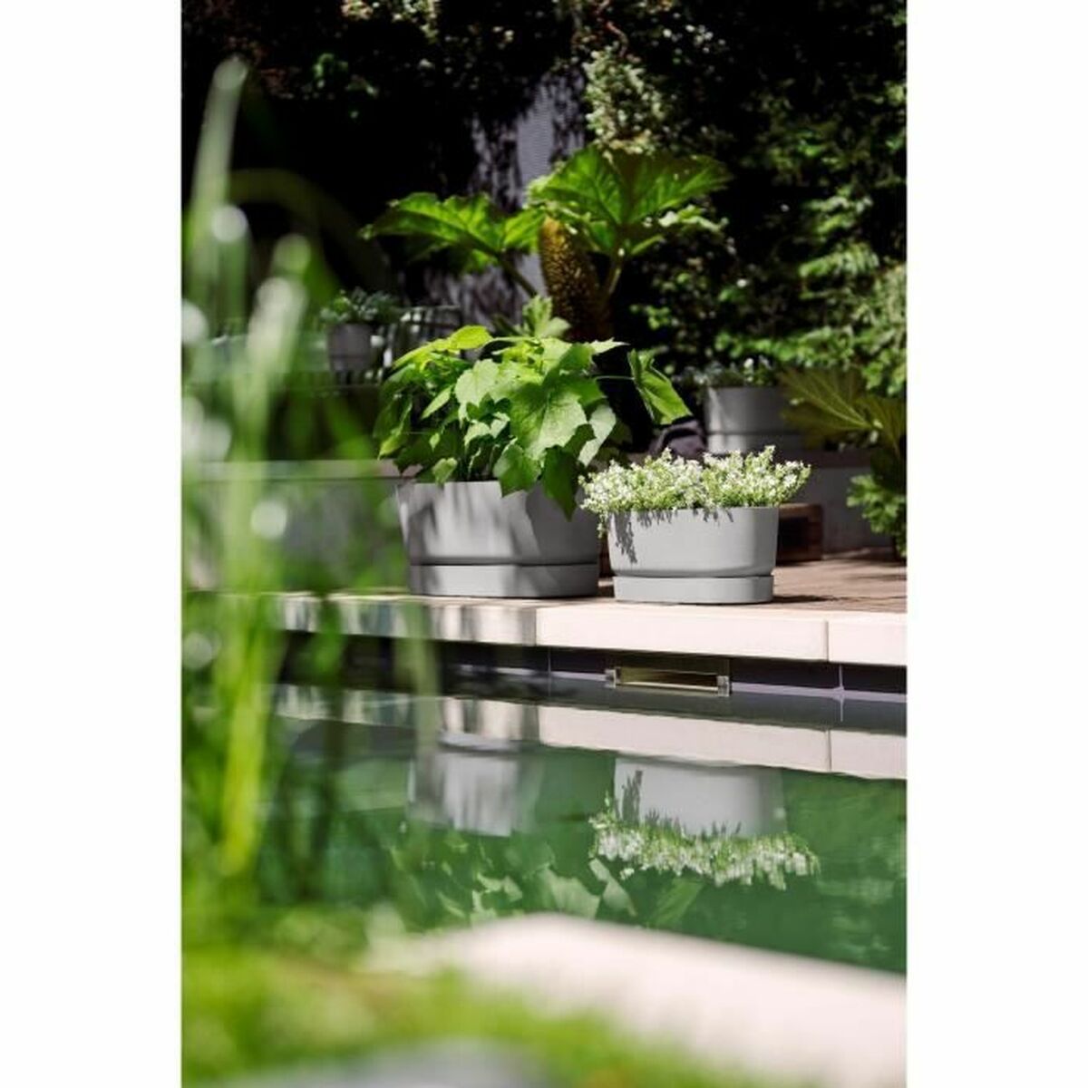 Vaso rettangolare da Balcone Elho Grigio 60 cm Plastica