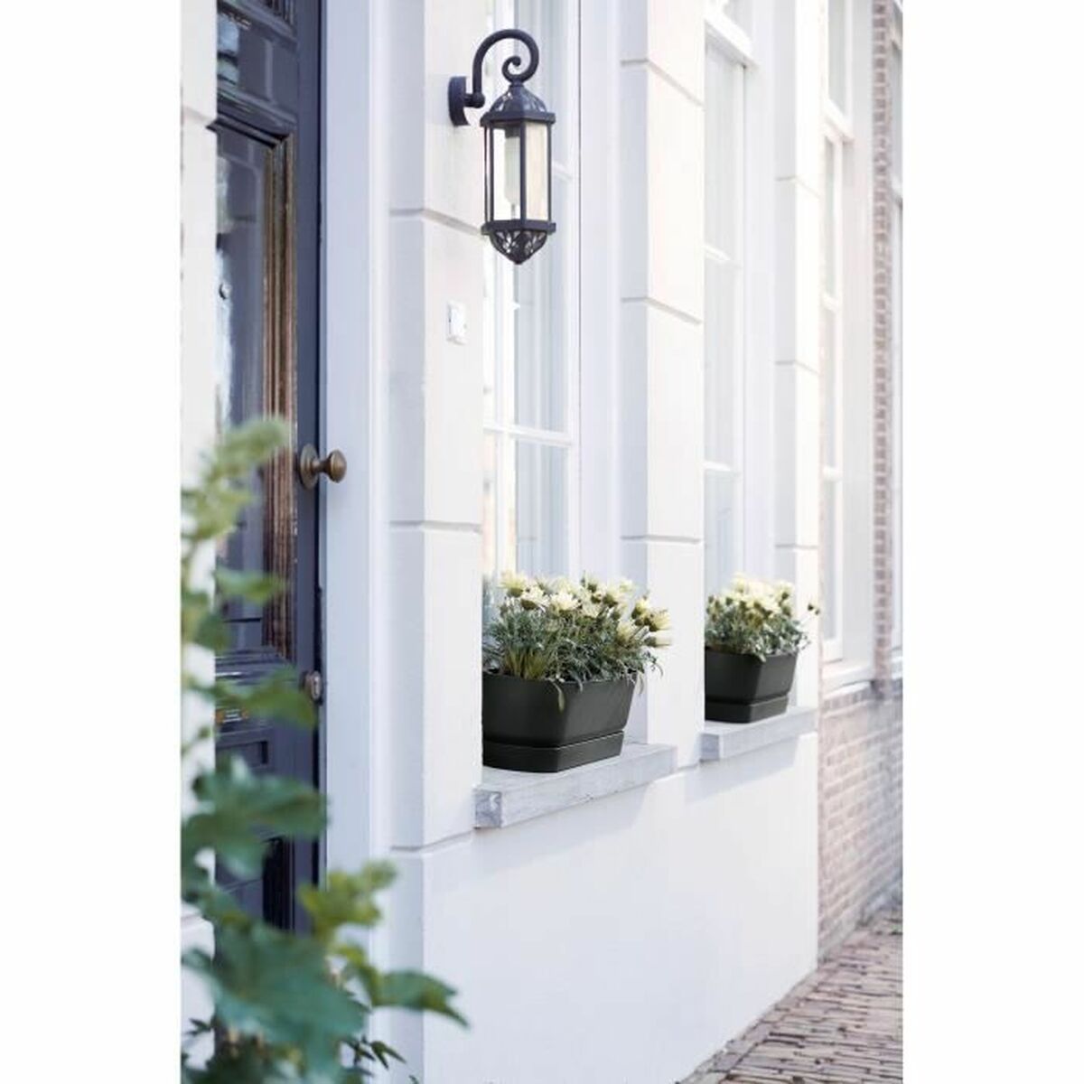 Vaso rettangolare da Balcone Elho Nero 50 cm Plastica Ovalada