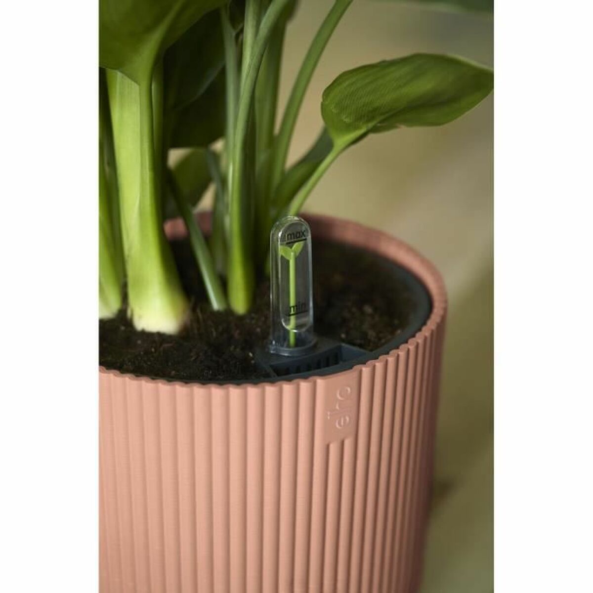 Vaso Elho Rotonda Rosa Plastica