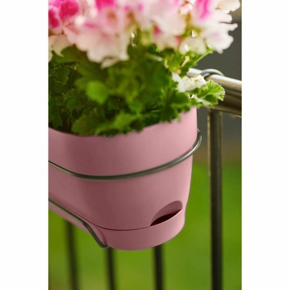 Vaso rettangolare da Balcone Elho 50 cm Rosa Plastica