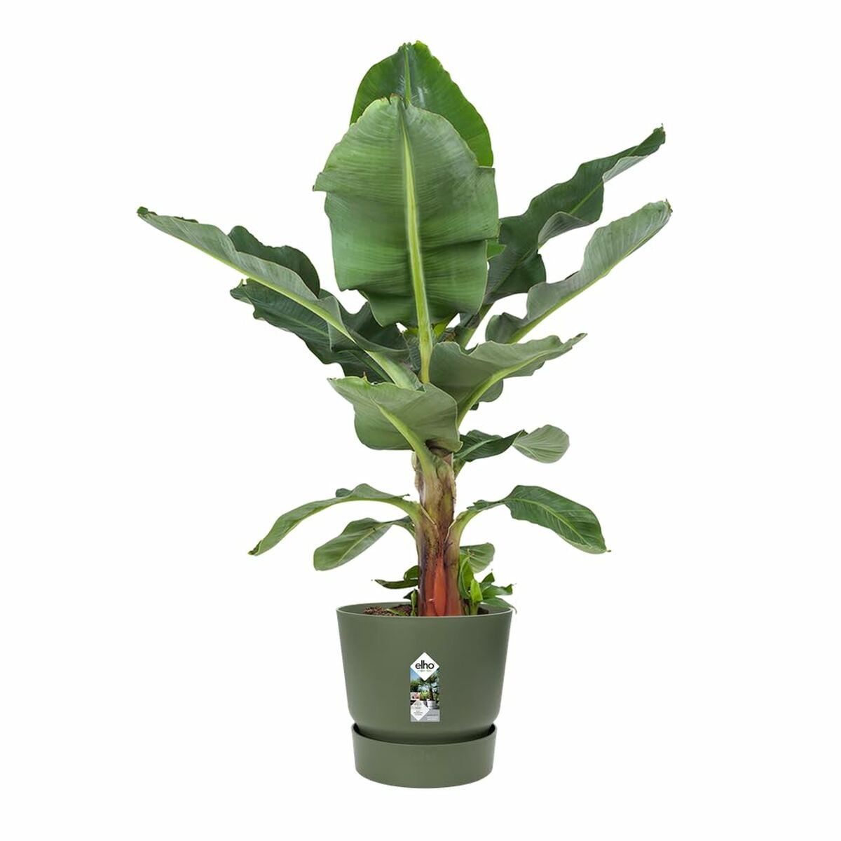 Vaso Elho Verde Ø 55 cm Plastica