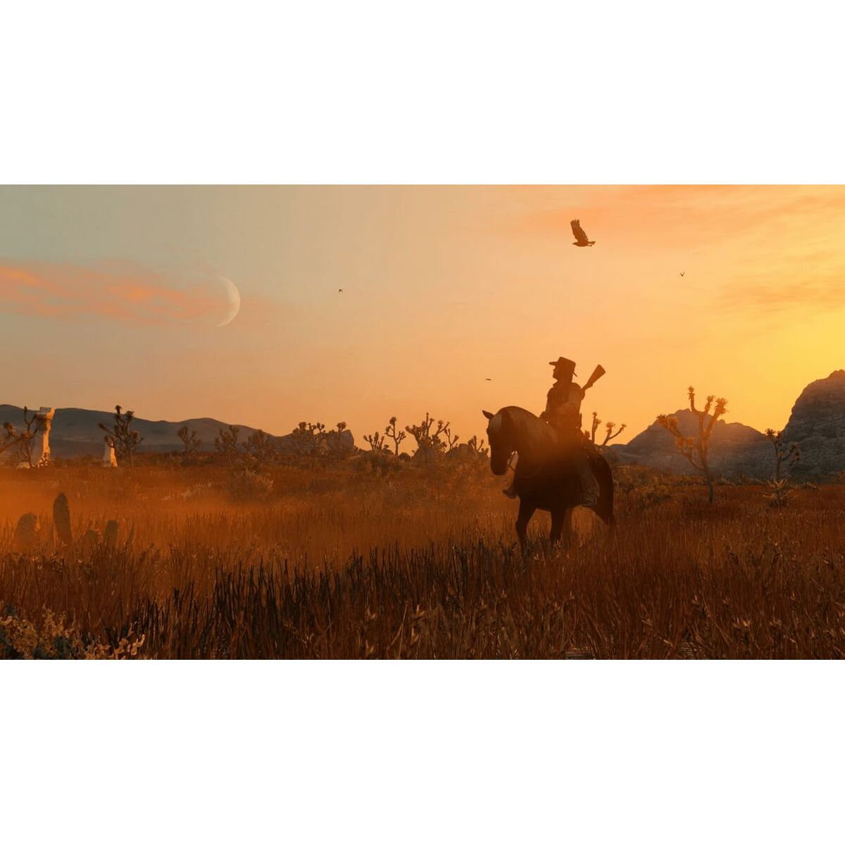 Videogioco per Switch Nintendo Red Dead Redemption