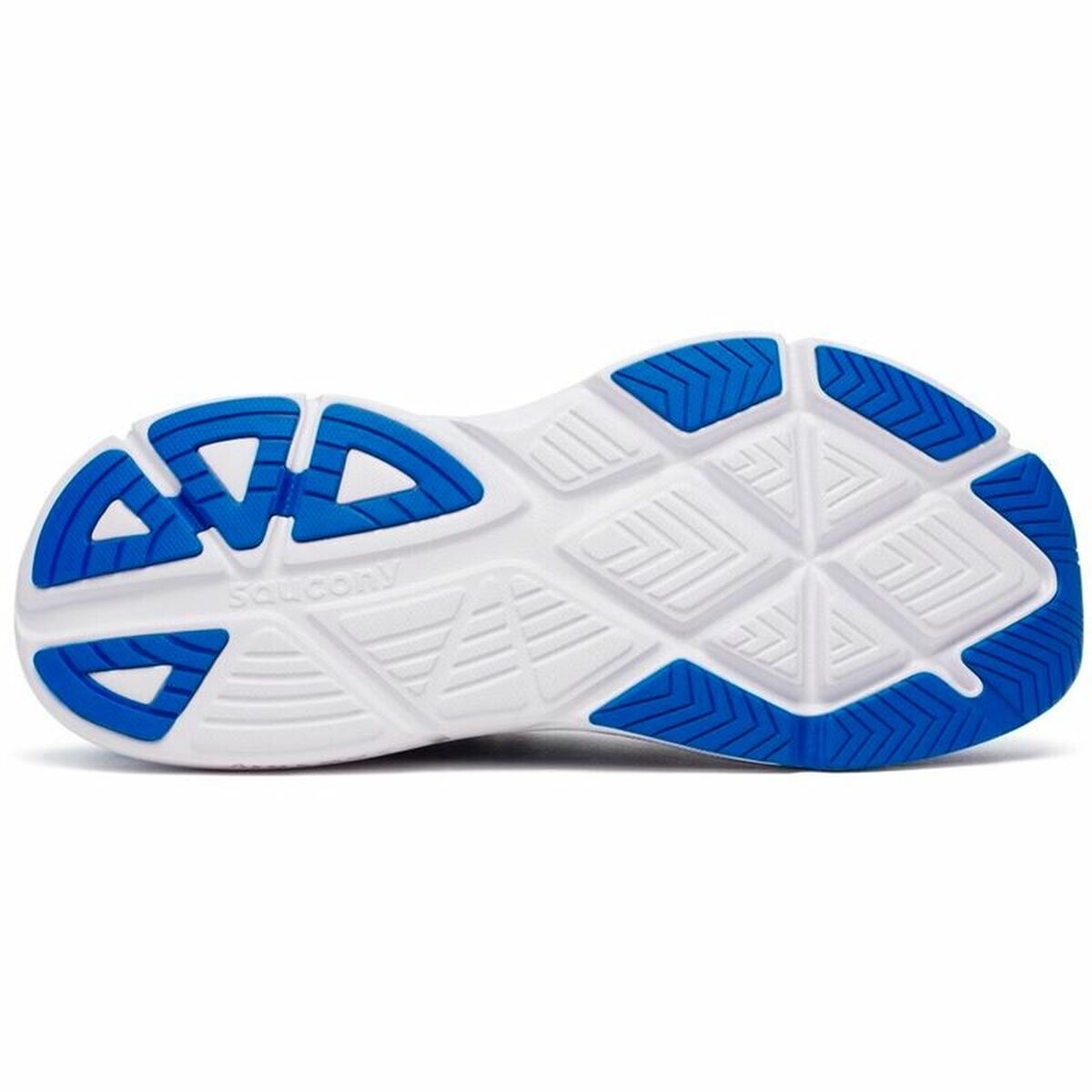 V4H86B5626CB34EC07D198A0EDDC1551BEAR6452964P3