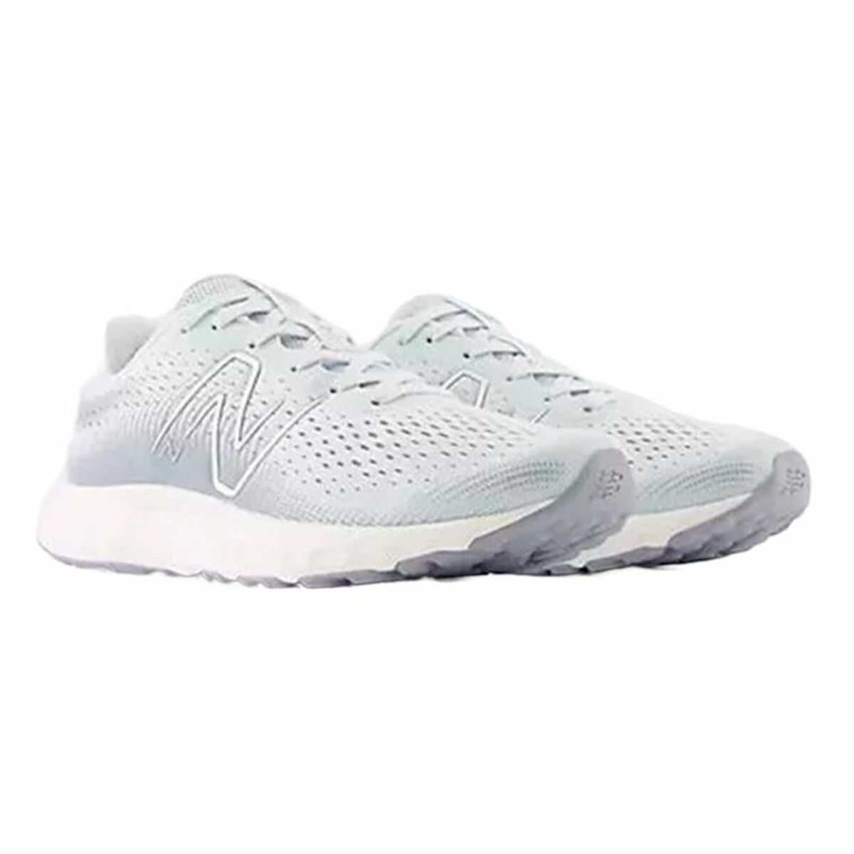 Scarpe da Running per Adulti New Balance 520 V8  Donna Grigio
