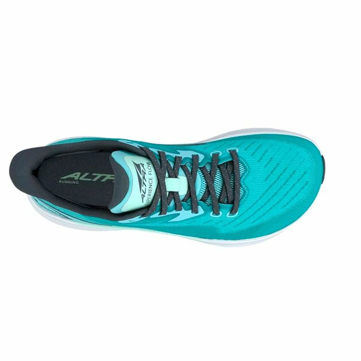 V4H1DF265A149569218669F2C94E7363D3ER6479922P4