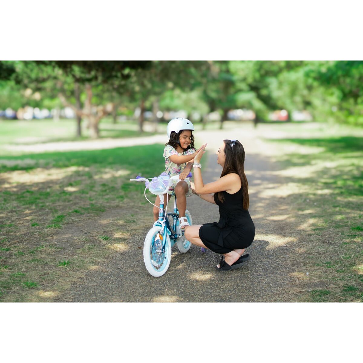 V5H262E220D871CAEACA3C99EEF9B9D34BAR6103361P4