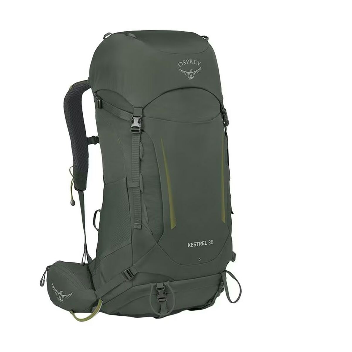 V3H248D7216E66F510A59DC31903282E8FBR4536192P1