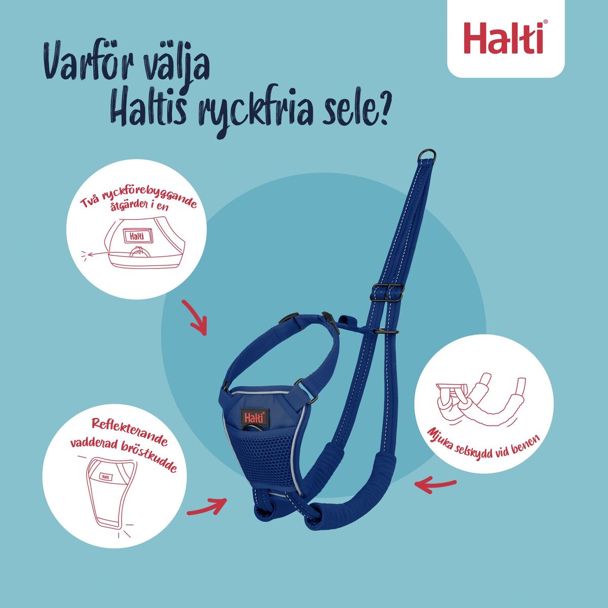 V3H63E6B04740E755A4F167D7C8B07217BDR7523511P3