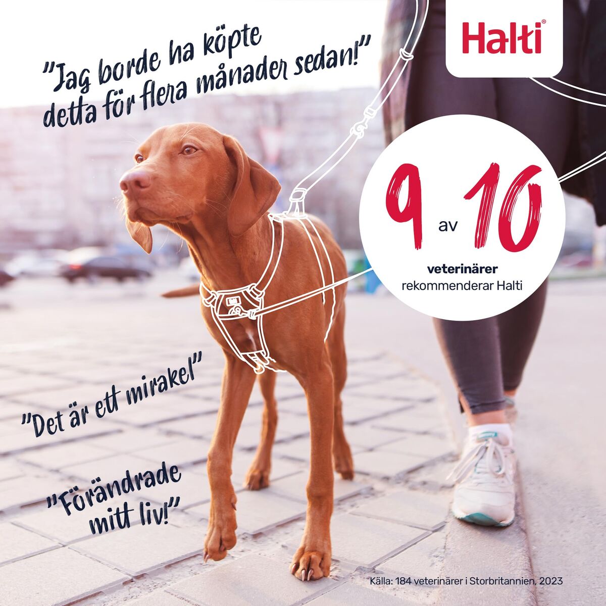 V3H268121F13CF476B1D01728D0AF59D4E7R7523526P6