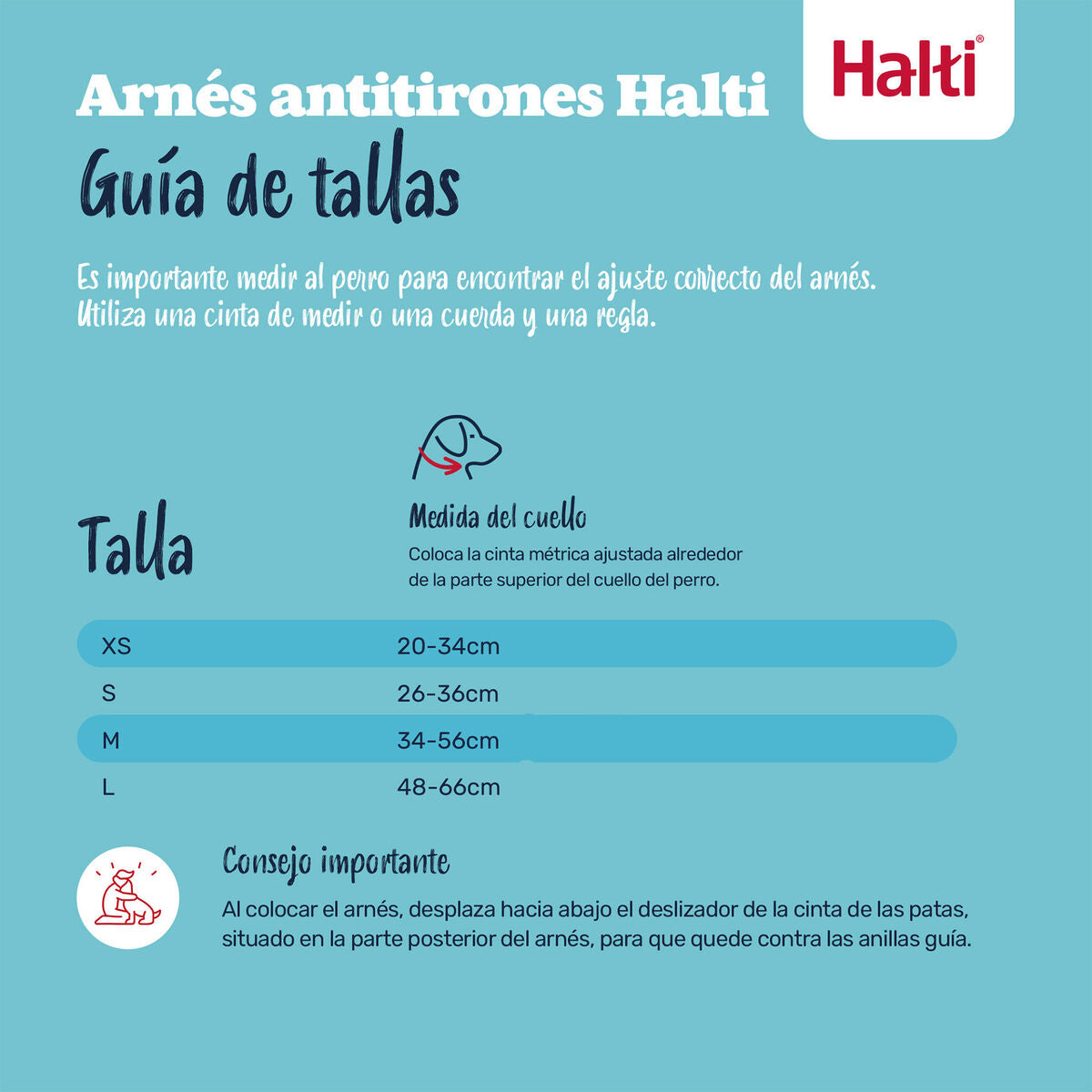 V4H9A31F23676ED77E4186410FC82D147C5R7523529P9