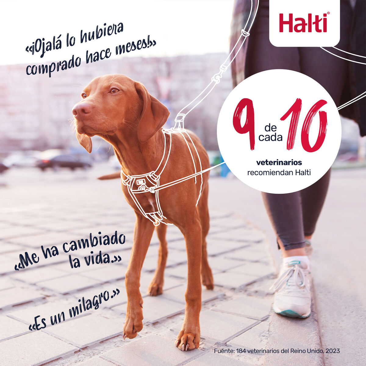 V3HE94B608A581F1FBD03D528314CB0B688R7523699P5