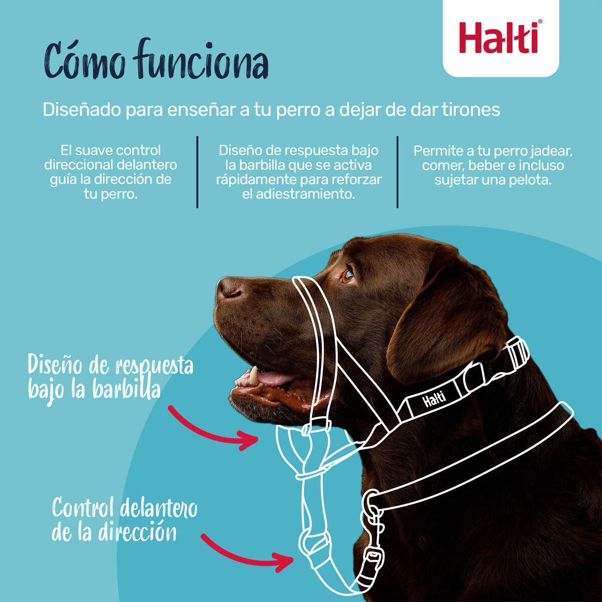 V3HB0C73AB146F79BF90FE2114682714A77R7523948P4