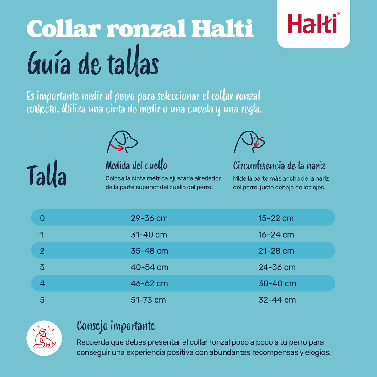 V4H2087E832B24664682EDDEA587A1A44B8R7523917P2