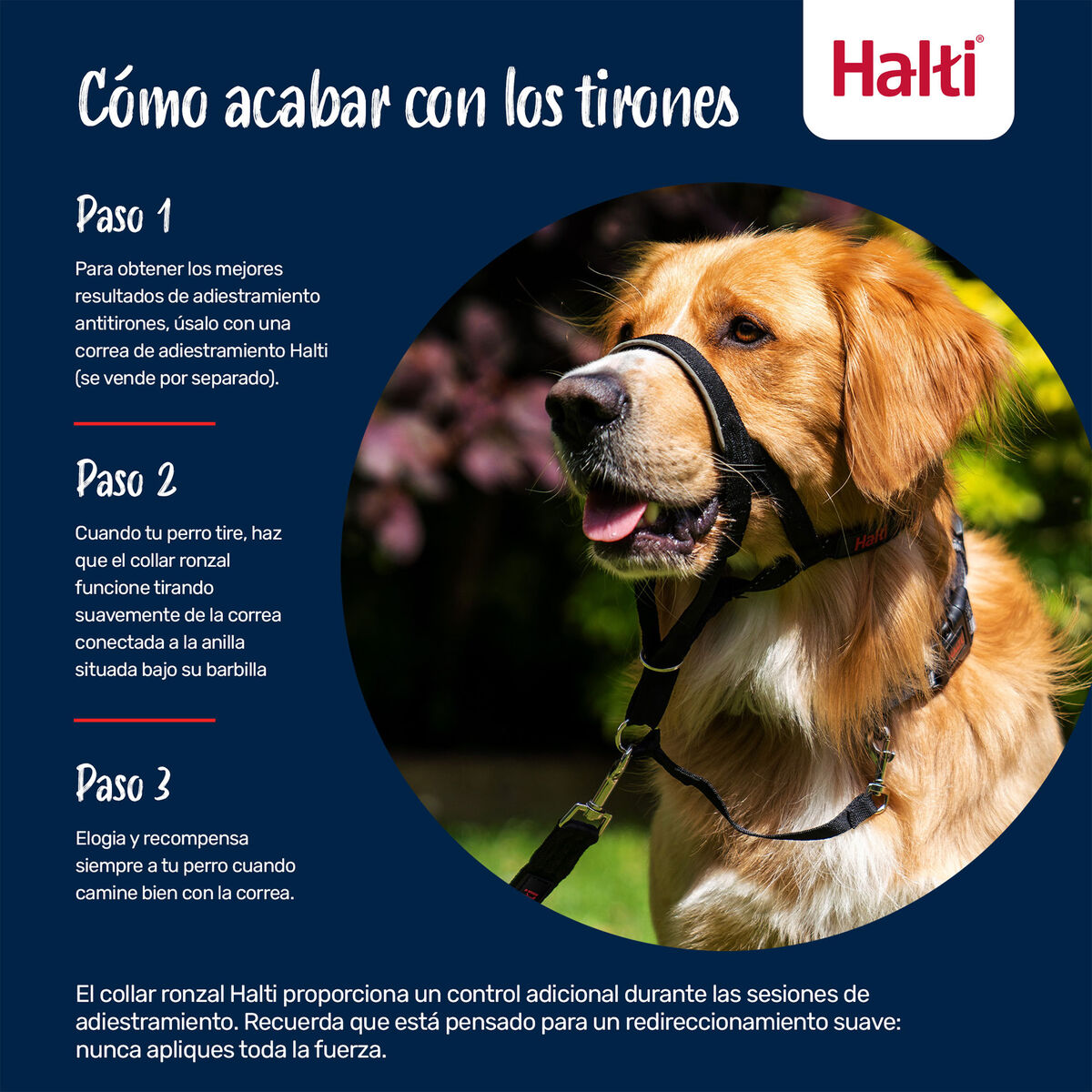 V4H44CA5A3D6588D6E937C50648099E64C8R7523851P3