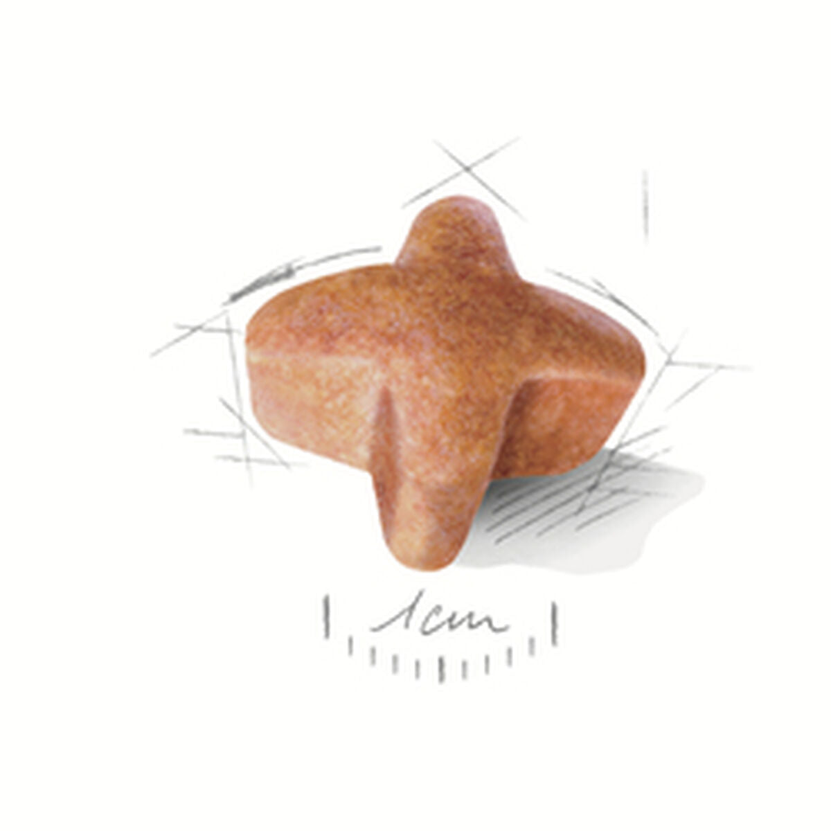 V6H9BFB4385DAA23EDBE6E9C3A113D9EC6AR3535808P2