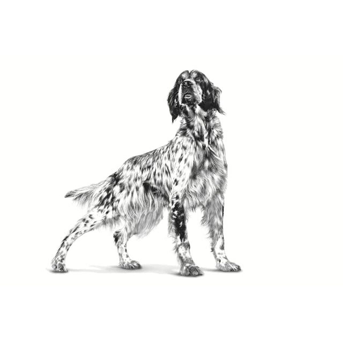 V5HF9E76E1422B11AB95579973649C52D87R5375090P3