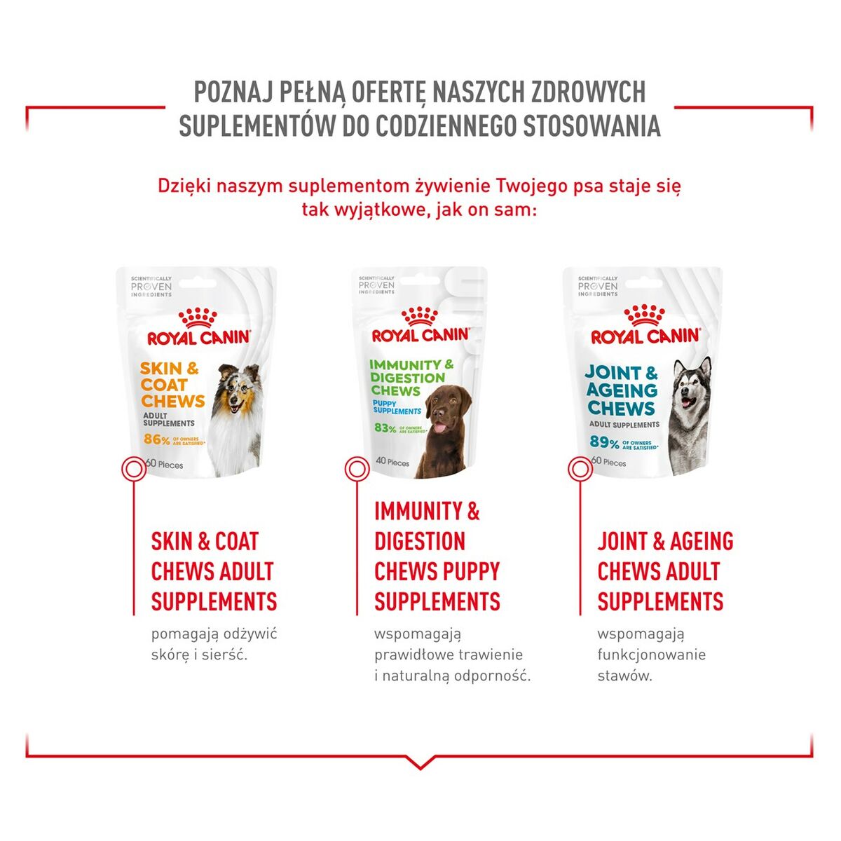 V5HE8987FD50DC59C13803C8E23DDF988B6R5624708P4