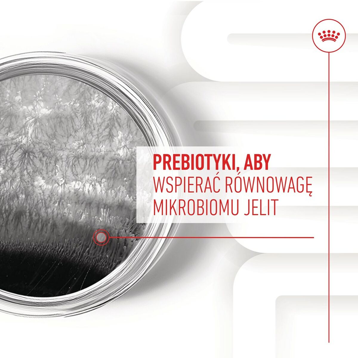 V5H0EF95C552E76EDF64FCEFF4AE47DD9F0R5624718P9