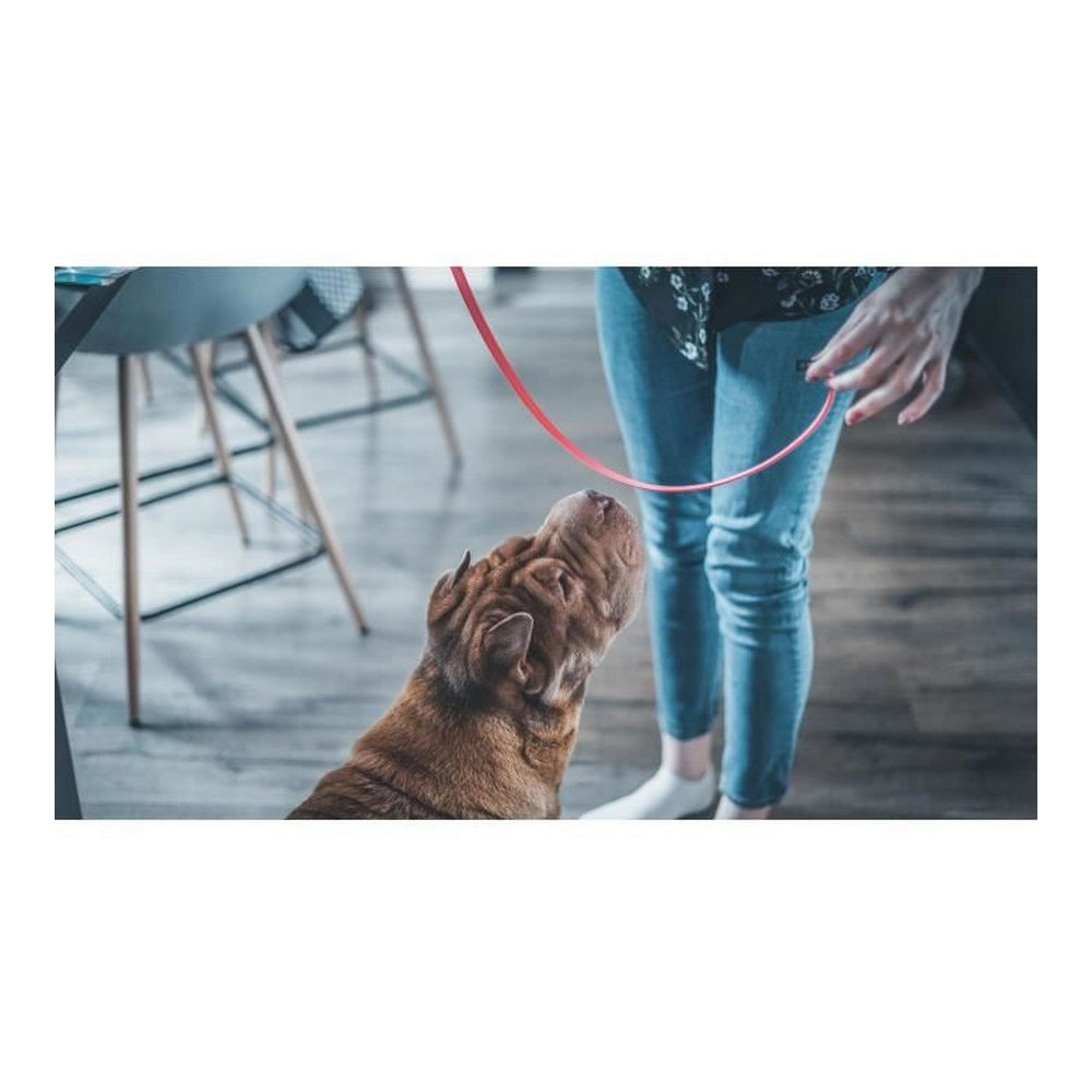 Collare antiparassitario Vetocanis Cane Grande