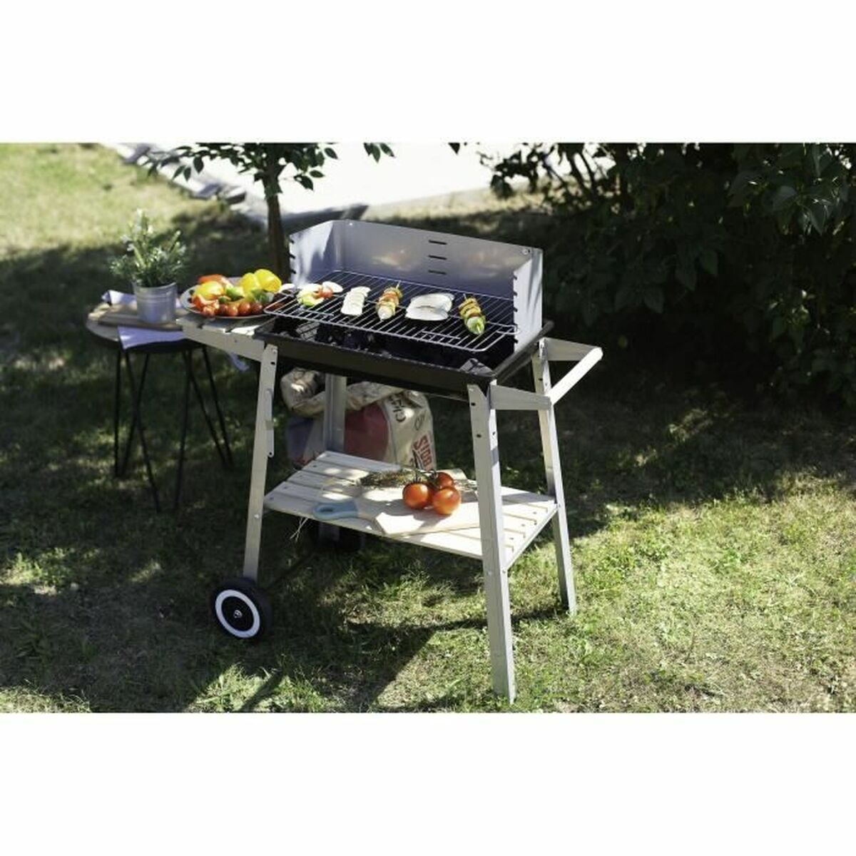 Barbecue Livoo DOC244 Acciaio