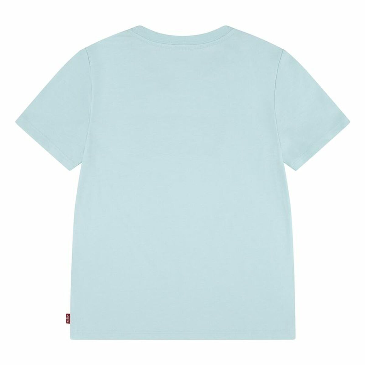 V6HB00A5C0EEDC0884DFC7348A780B13EFCR4722279P2