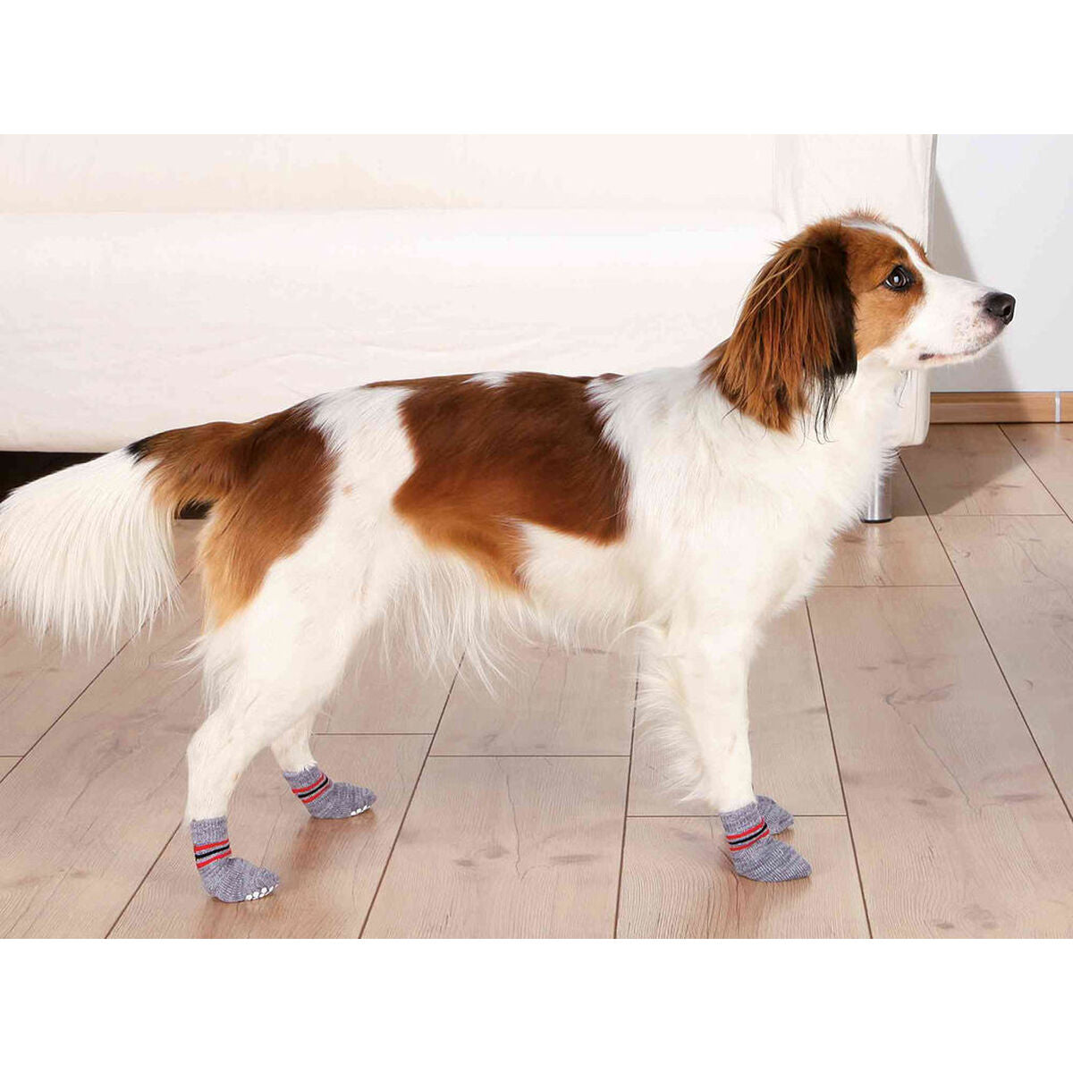 V5H3EE644547DFF28AAC250634A0C02F799R7440298P9