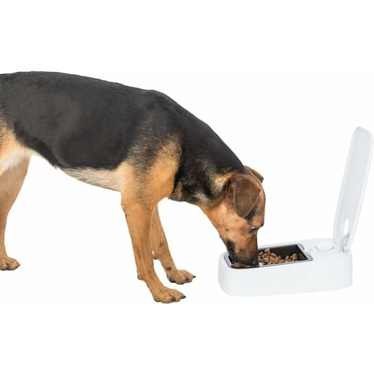 V4HE4AB3F0CF32094EDE9036F805F651020R7461871P9