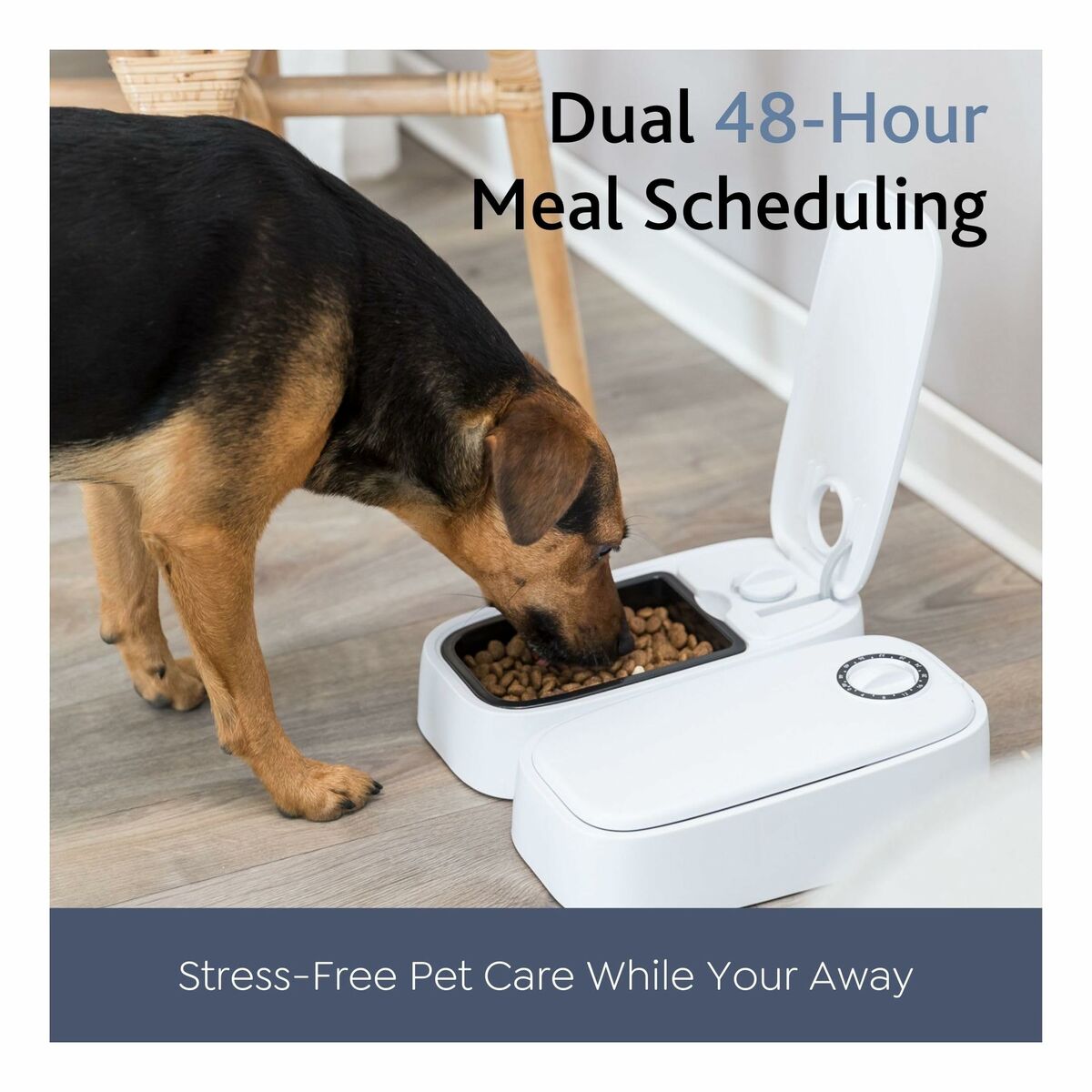 V3H83BF103D4BFA977F3EDD67DBE29A41D0R7462388P6