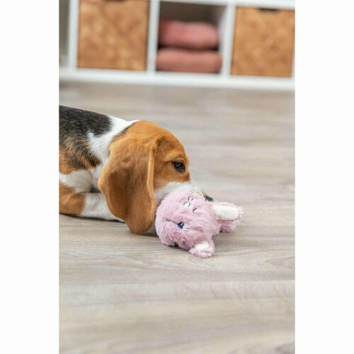 V9H3E09CCECFFF9C0E5955590338DC192C4R7457281P10