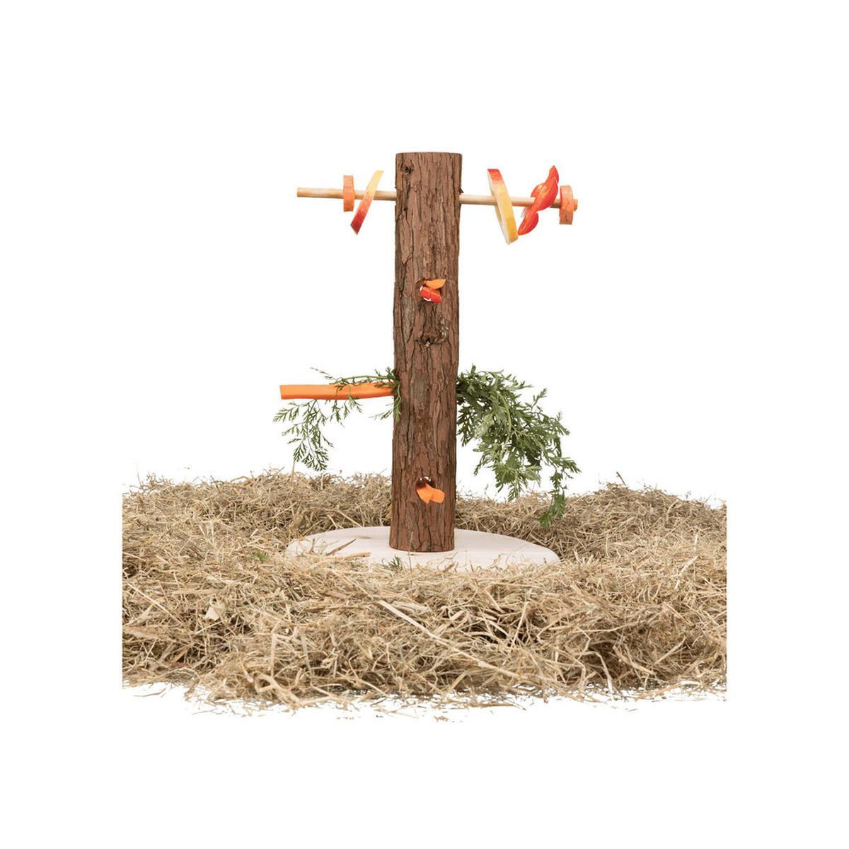 V7H14B7EEC9DB98C234DDBAB2A1B098654FR7444923P3