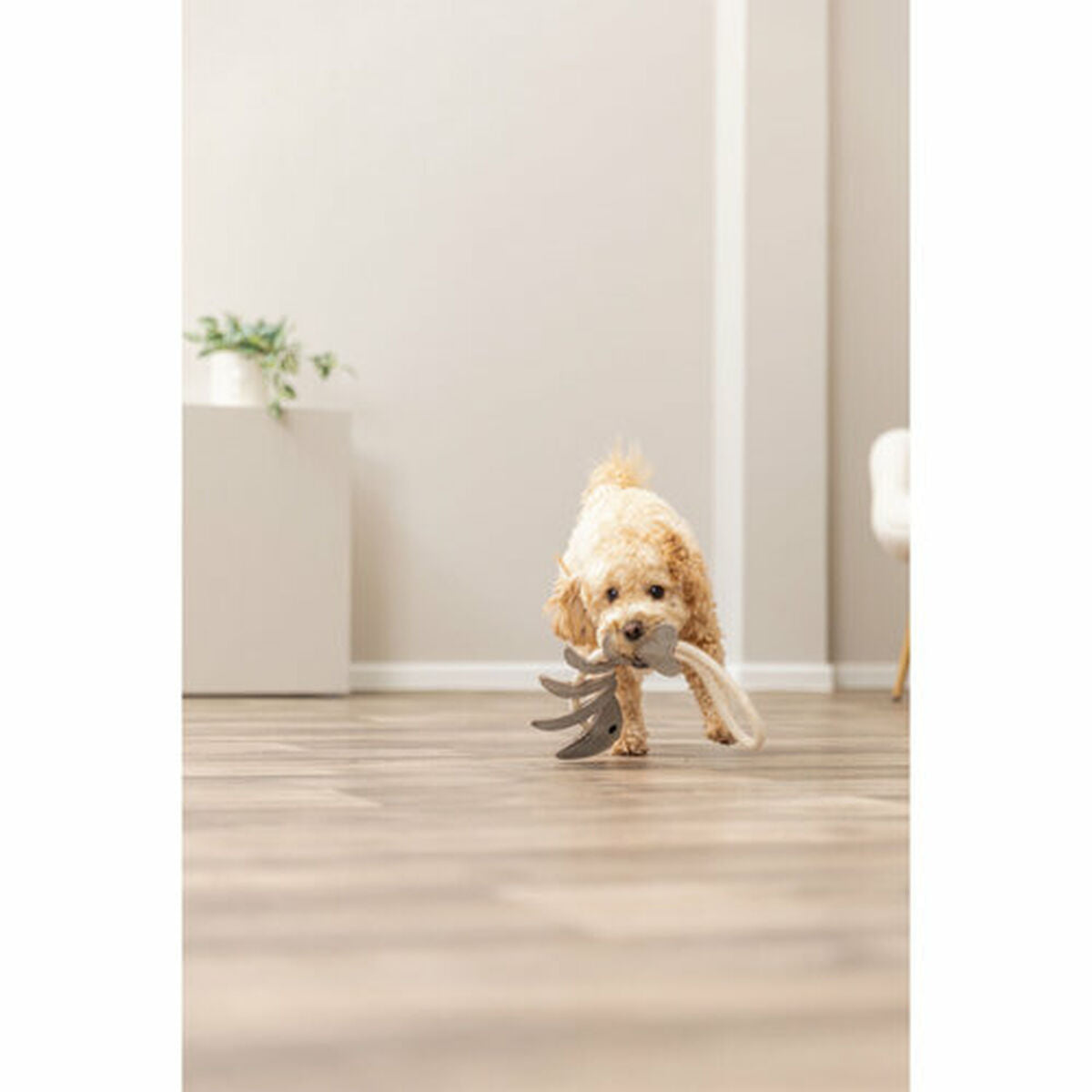 V4HAFEE9490B1AE05AFC628CA2A82132415R7463020P6