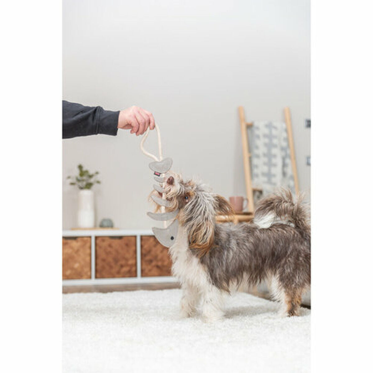 V4HCE8B048F4DADD9E78FE9B0C21A3F8D21R7463026P8