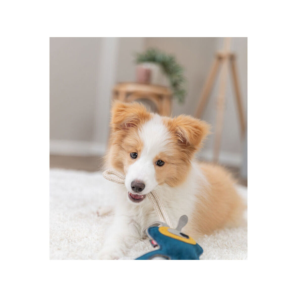 V4HB53EF1050D83286EF7A747E9EAC37AA0R7449075P7