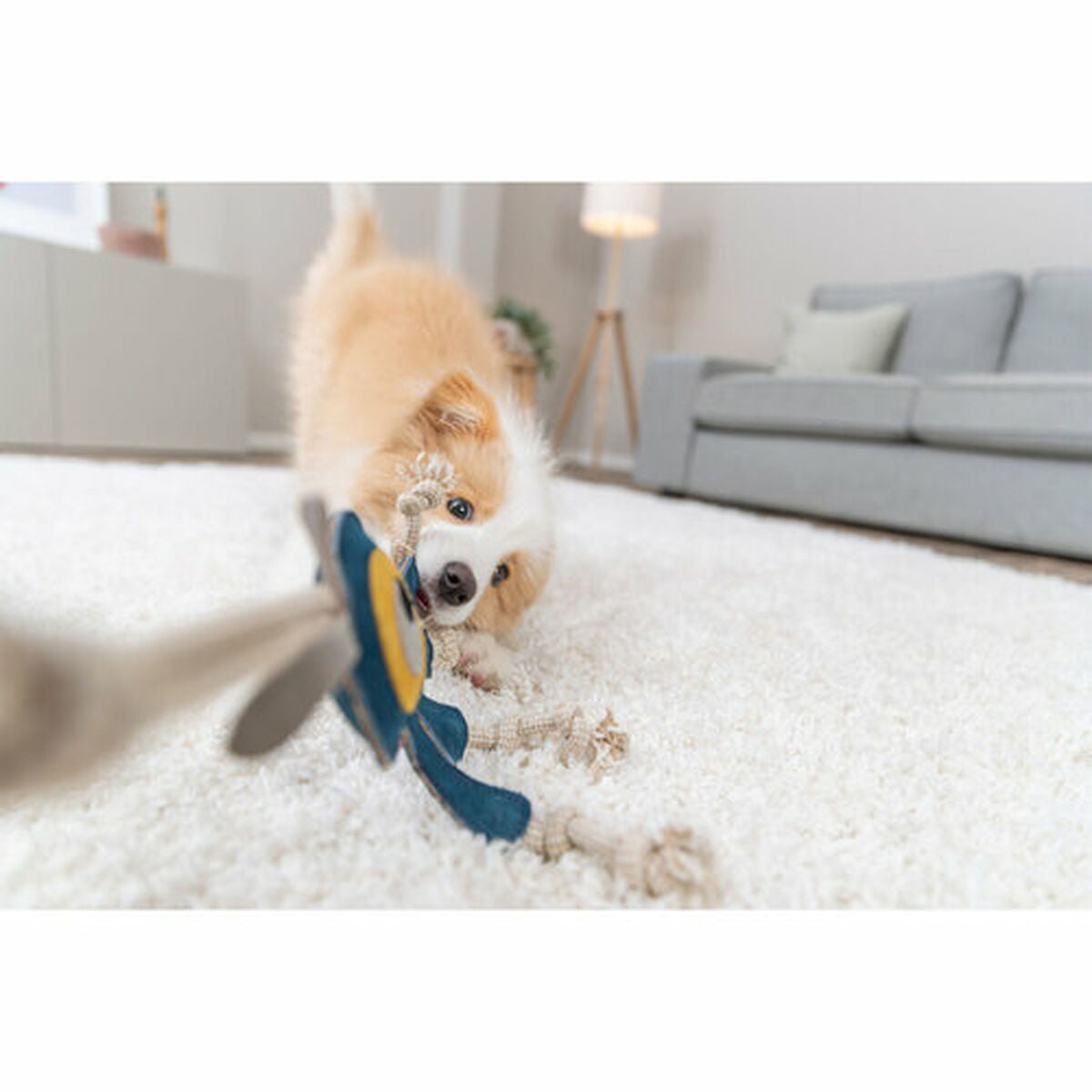 V4HBFF379D0B2EF9024FA497D1D25F31BFDR7449081P10