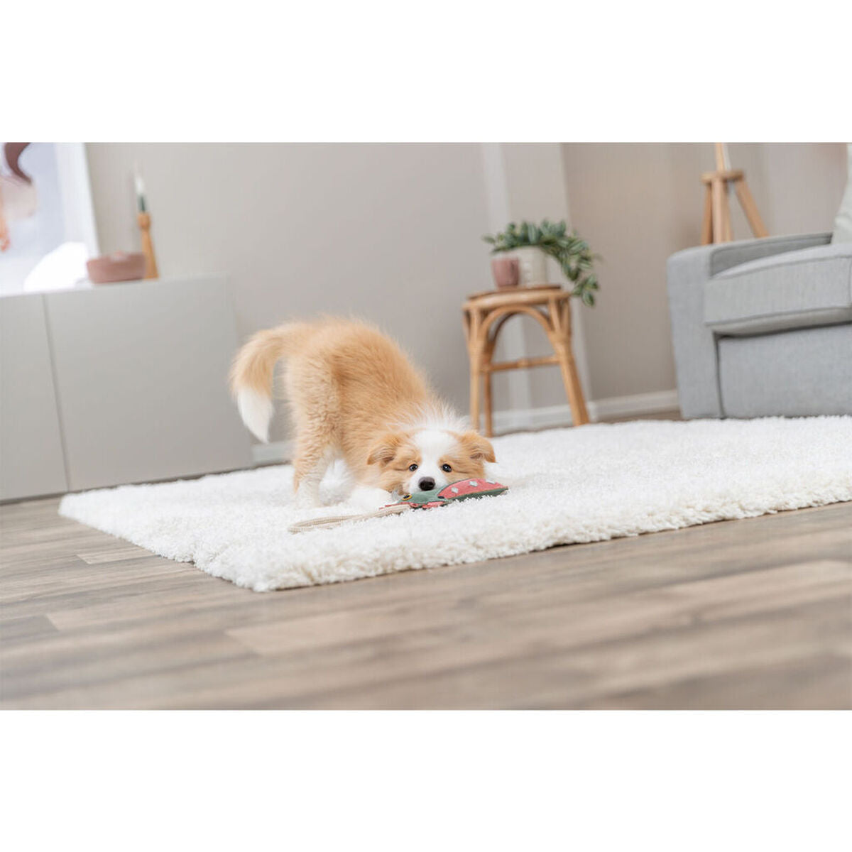 V4H86E8D761710DA2722312AF12F695AD50R7463042P5